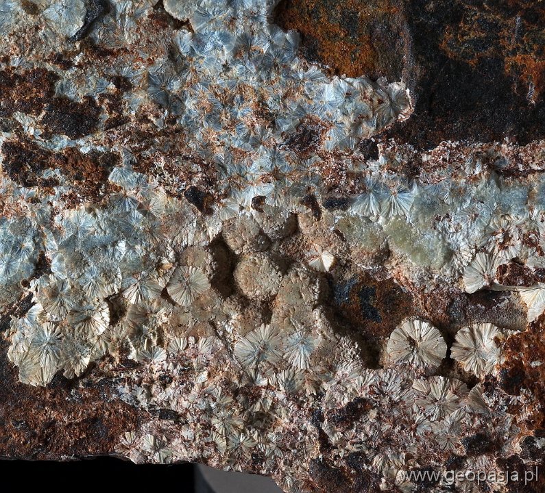 Wavellit - Brodziszów, Wzgórza Bielawskie (2.5 cm)